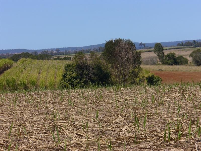 Redhill Farms QLD 4671