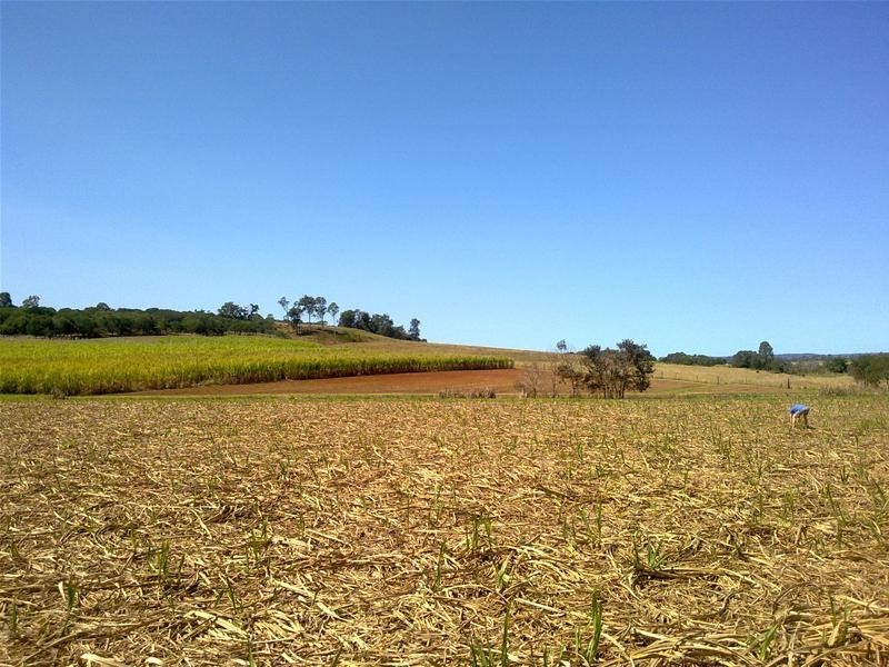Redhill Farms QLD 4671