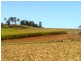 Redhill Farms QLD 4671