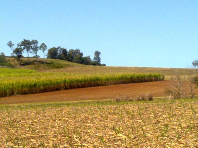 Redhill Farms QLD 4671