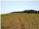 Redhill Farms QLD 4671