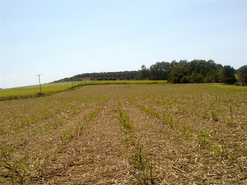 Redhill Farms QLD 4671