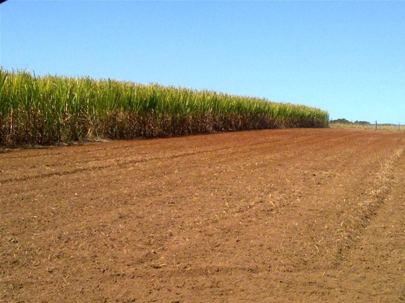 Redhill Farms QLD 4671