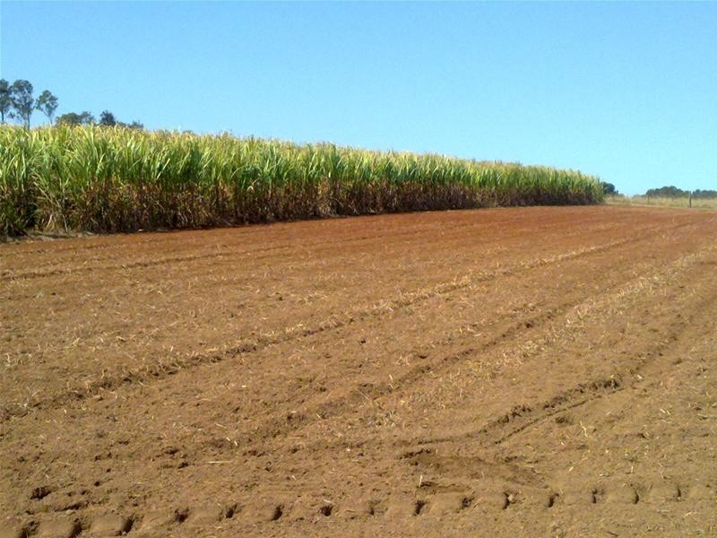 Redhill Farms QLD 4671