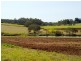 Redhill Farms QLD 4671