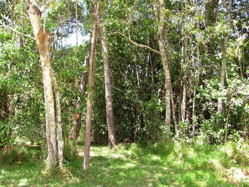 684 Taunton Road, Taunton QLD 4674