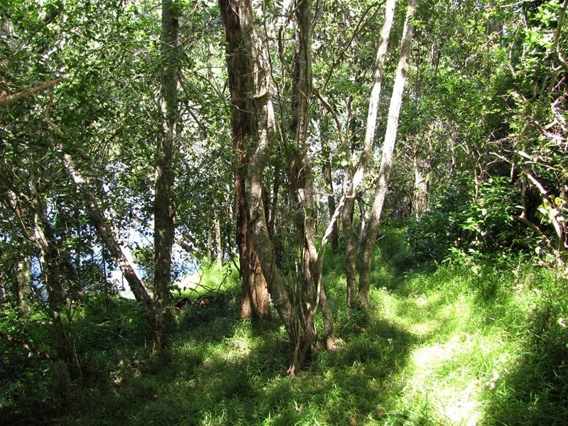 684 Taunton Road, Taunton QLD 4674