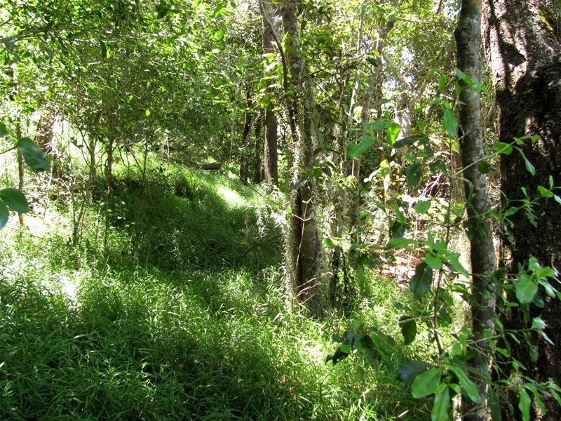 684 Taunton Road, Taunton QLD 4674