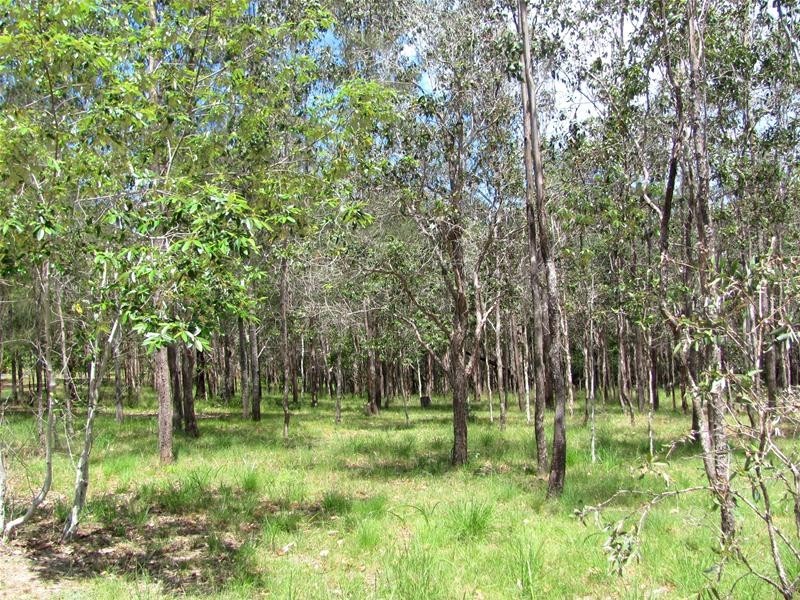 684 Taunton Road, Taunton QLD 4674