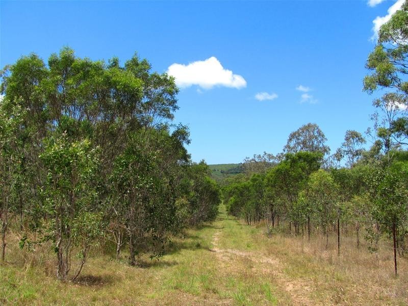 684 Taunton Road, Taunton QLD 4674