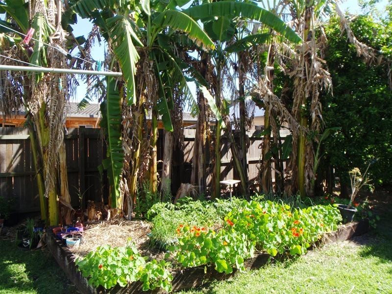 Svensson Heights QLD 4670