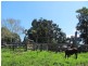Berajondo QLD 4674