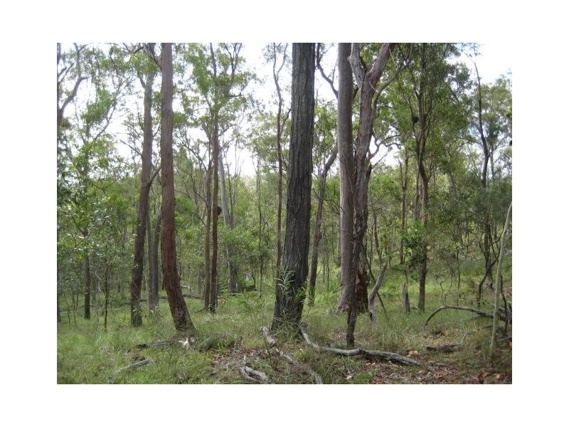 South Kolan QLD 4670