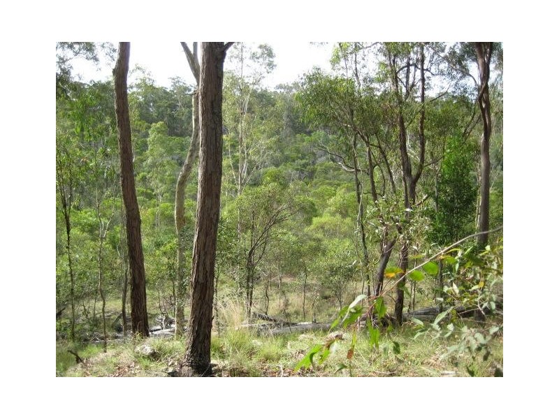 South Kolan QLD 4670