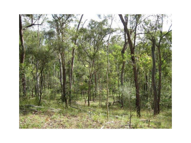 South Kolan QLD 4670