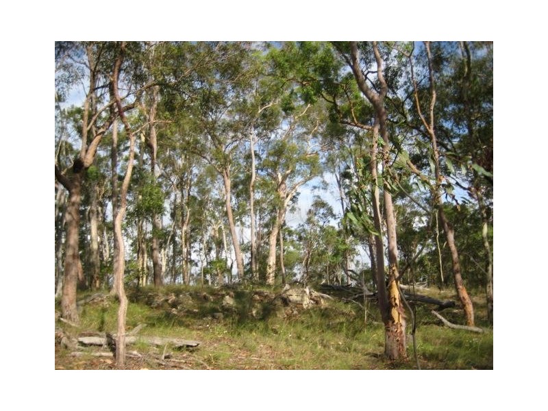 South Kolan QLD 4670