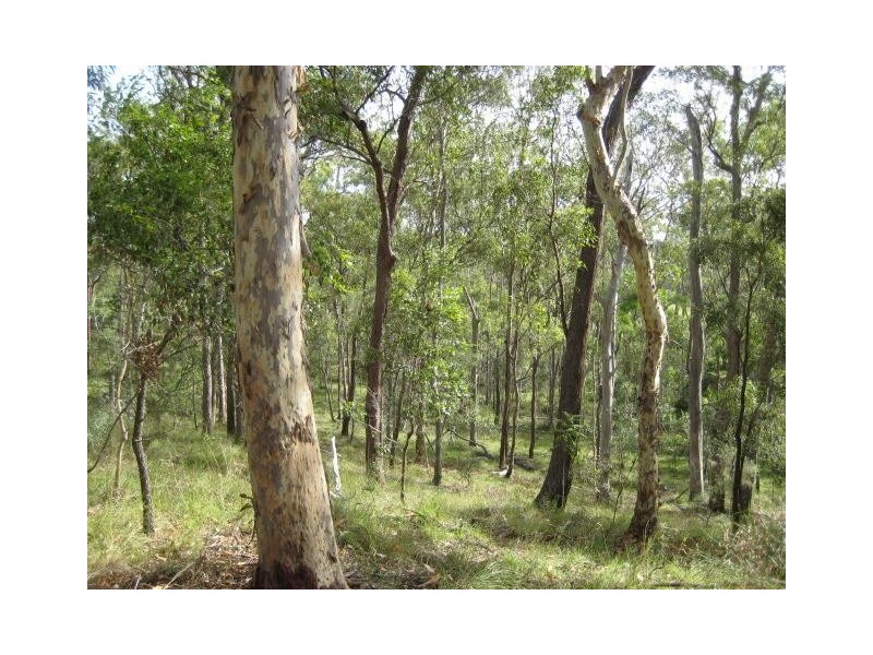 South Kolan QLD 4670