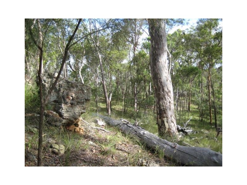 South Kolan QLD 4670