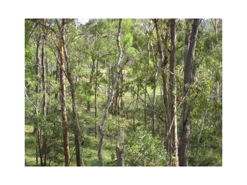 South Kolan QLD 4670