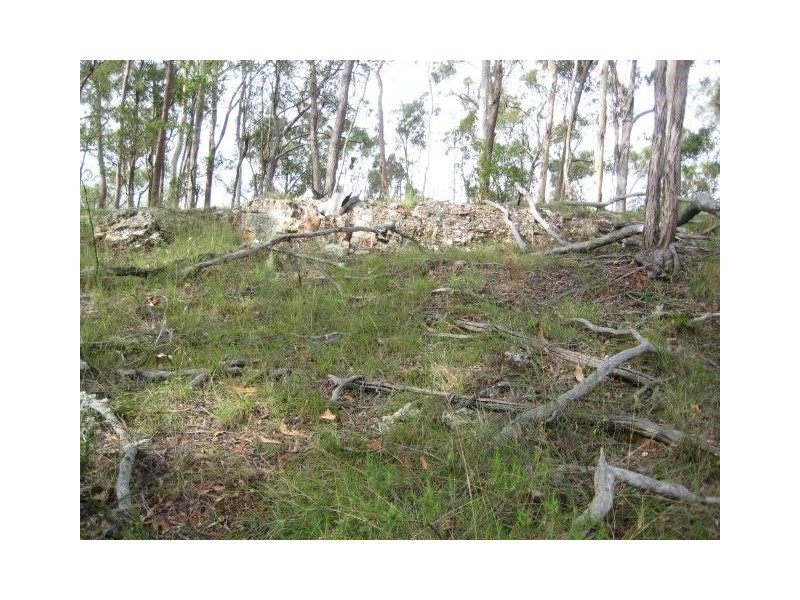 South Kolan QLD 4670