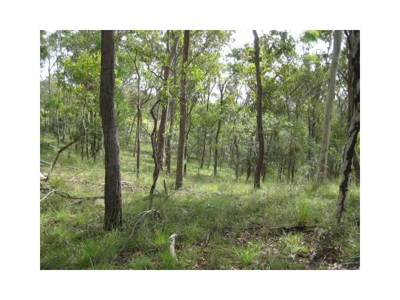 South Kolan QLD 4670