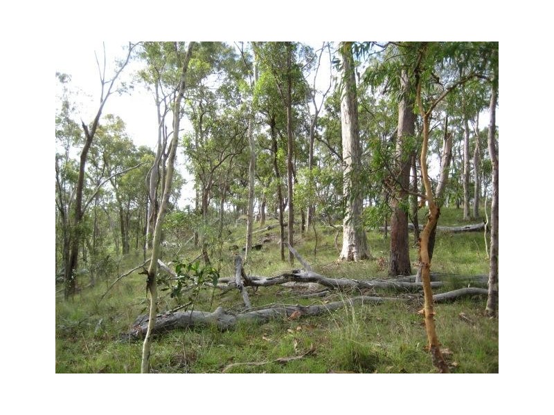 South Kolan QLD 4670