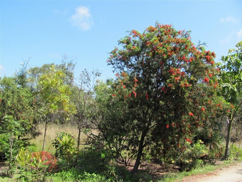 Agnes Water QLD 4677