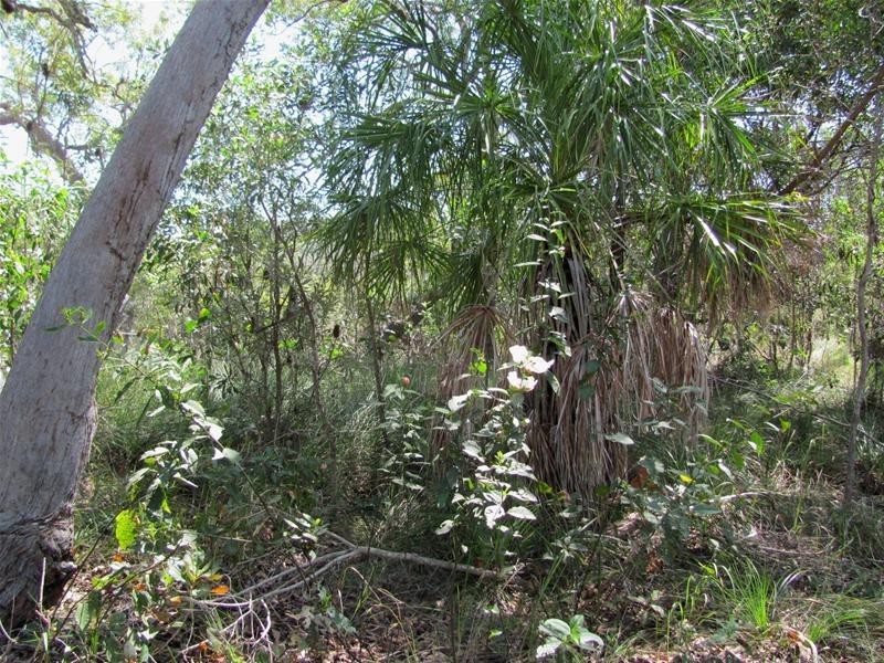 Agnes Water QLD 4677