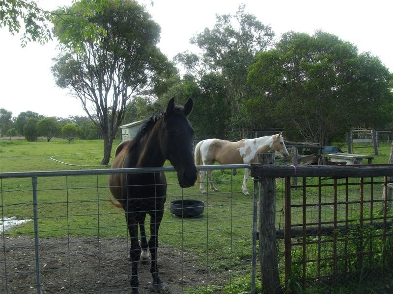 South Kolan QLD 4670