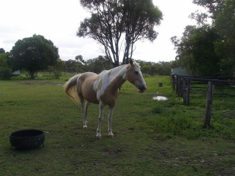 South Kolan QLD 4670