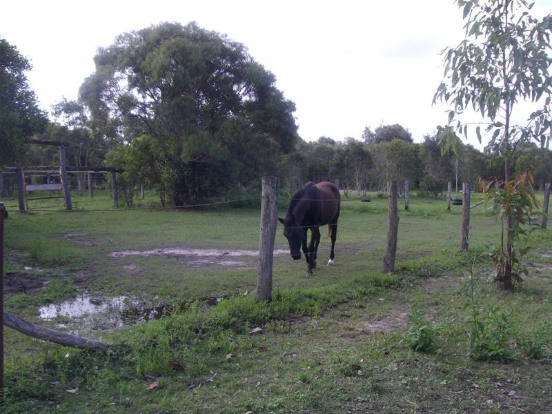 South Kolan QLD 4670