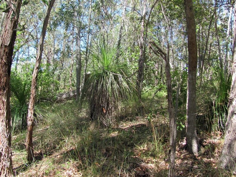 1345 Tableland Road, Mount Maria QLD 4674