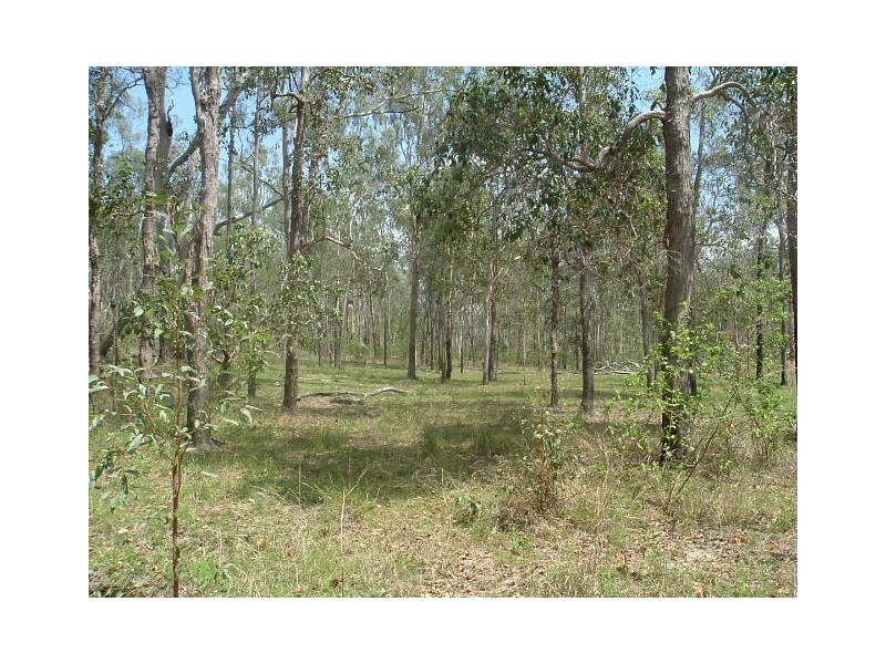 Lowmead QLD 4676