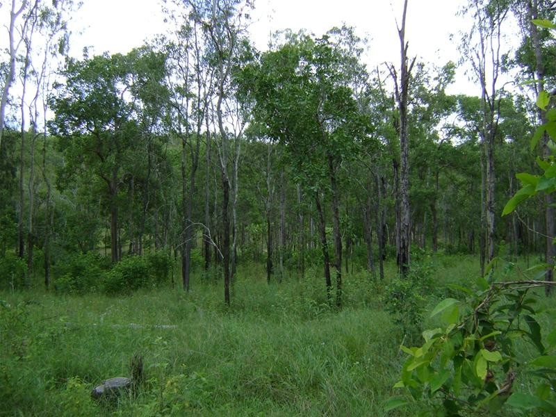 Lowmead QLD 4676