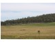 Delan QLD 4671