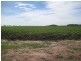 Delan QLD 4671