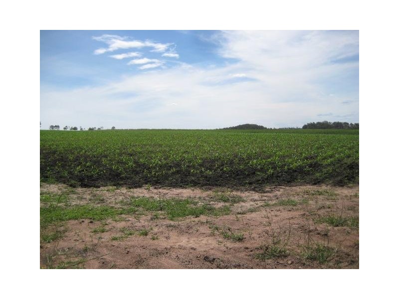 Delan QLD 4671