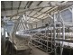 Delan QLD 4671