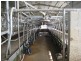 Delan QLD 4671