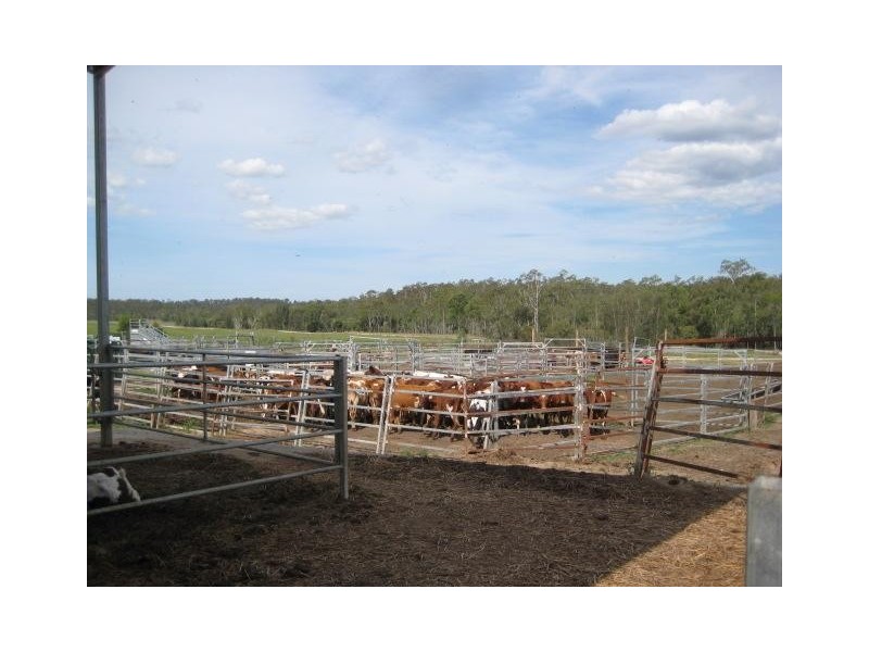 Delan QLD 4671