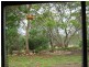 Horse Camp QLD 4671