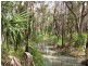 274 Mitchell Road, Mount Maria QLD 4674