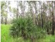 274 Mitchell Road, Mount Maria QLD 4674