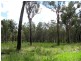 274 Mitchell Road, Mount Maria QLD 4674