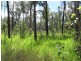 274 Mitchell Road, Mount Maria QLD 4674