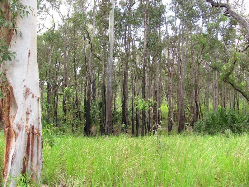 274 Mitchell Road, Mount Maria QLD 4674