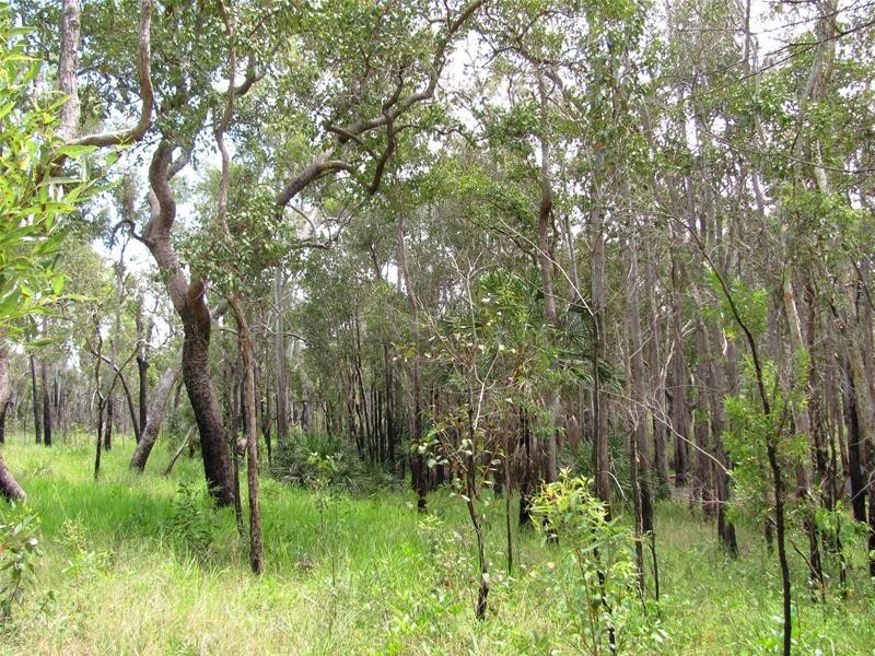 274 Mitchell Road, Mount Maria QLD 4674