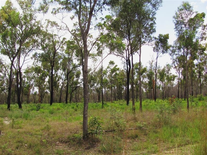 274 Mitchell Road, Mount Maria QLD 4674