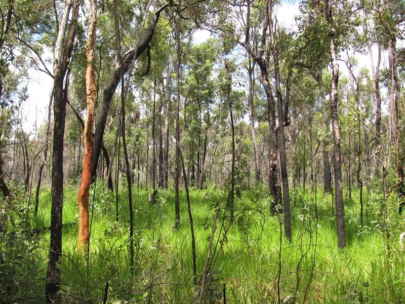 274 Mitchell Road, Mount Maria QLD 4674