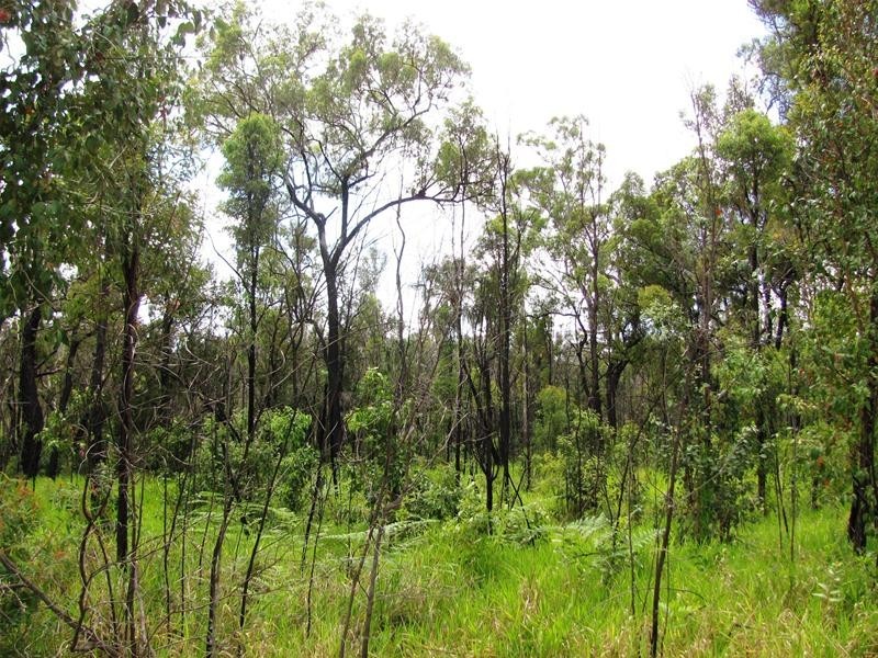 274 Mitchell Road, Mount Maria QLD 4674